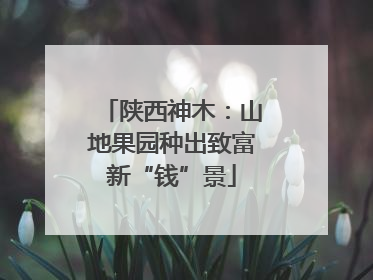 陕西神木：山地果园种出致富新“钱”景