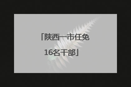 陕西一市任免16名干部
