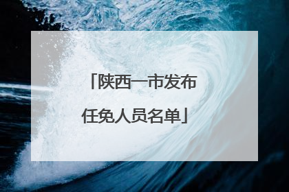 陕西一市发布任免人员名单