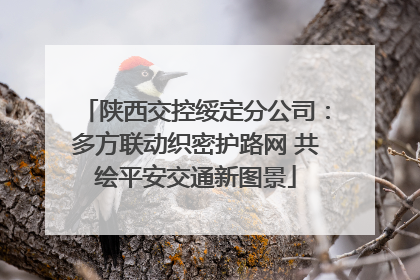 陕西交控绥定分公司：多方联动织密护路网 共绘平安交通新图景