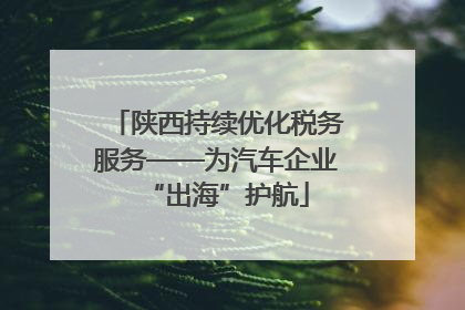 陕西持续优化税务服务——为汽车企业“出海”护航