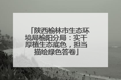 陕西榆林市生态环境局榆阳分局：实干厚植生态底色，担当描绘绿色答卷