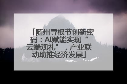 随州寻根节创新密码：AI赋能实现“云端观礼”，产业联动助推经济发展