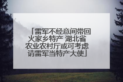 雷军不经意间带回火家乡特产 湖北省农业农村厅或可考虑请雷军当特产大使
