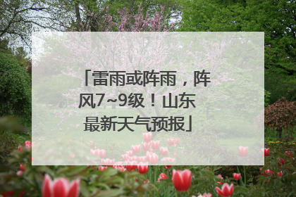 雷雨或阵雨，阵风7~9级！山东最新天气预报