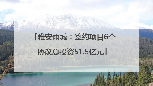雅安雨城：签约项目6个 协议总投资51.5亿元