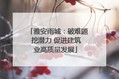 雅安雨城：破难题 挖潜力 促进建筑业高质量发展