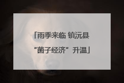 雨季来临 镇沅县“菌子经济”升温