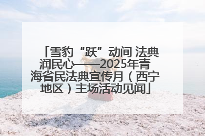 雪豹“跃”动间 法典润民心——2025年青海省民法典宣传月（西宁地区）主场活动见闻