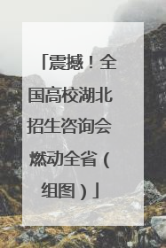 震撼！全国高校湖北招生咨询会燃动全省（组图）