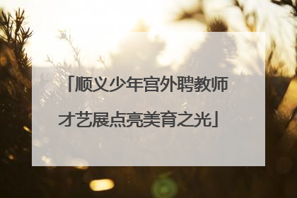 顺义少年宫外聘教师才艺展点亮美育之光