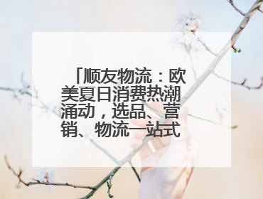 顺友物流：欧美夏日消费热潮涌动，选品、营销、物流一站式攻略来袭