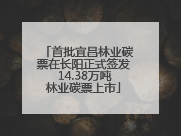 首批宜昌林业碳票在长阳正式签发 14.38万吨林业碳票上市