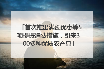 首次推出满额优惠等5项提振消费措施，引来300多种优质农产品