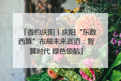 香约庆阳丨庆阳“东数西算”布局未来赛道：智算时代 绿色领航
