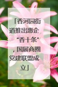 香河园街道推出惠企“香十条”，国展商圈党建联盟成立