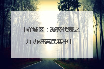 驿城区：凝聚代表之力 办好惠民实事