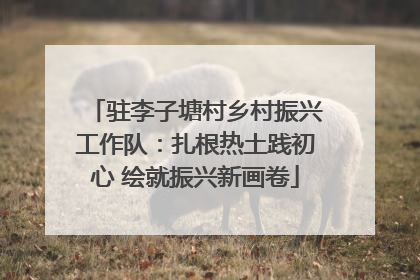 驻李子塘村乡村振兴工作队：扎根热土践初心 绘就振兴新画卷