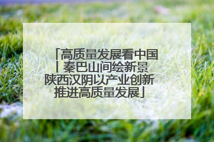 高质量发展看中国丨秦巴山间绘新景 陕西汉阴以产业创新推进高质量发展