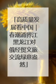 高质量发展看中国｜春潮涌界江 黑龙江对俄经贸文旅交流绿意盎然