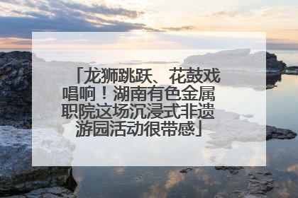 龙狮跳跃、花鼓戏唱响！湖南有色金属职院这场沉浸式非遗游园活动很带感