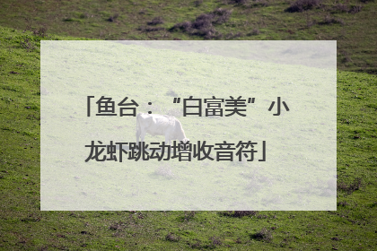 鱼台：“白富美”小龙虾跳动增收音符