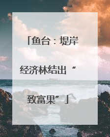 鱼台：堤岸经济林结出“致富果”