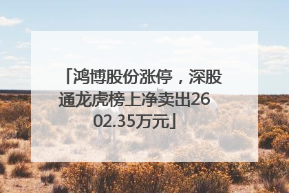 鸿博股份涨停，深股通龙虎榜上净卖出2602.35万元