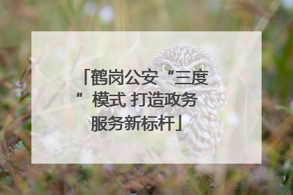 鹤岗公安“三度”模式 打造政务服务新标杆
