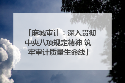 麻城审计：深入贯彻中央八项规定精神 筑牢审计质量生命线