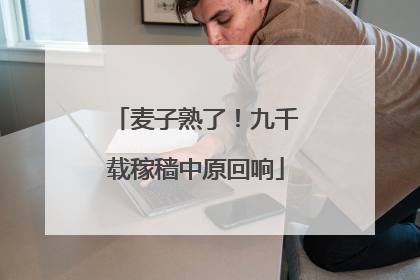 麦子熟了！九千载稼穑中原回响