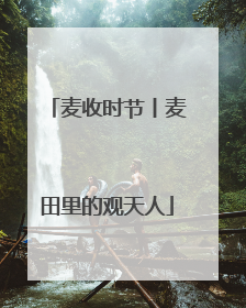 麦收时节丨麦田里的观天人