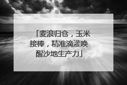 麦浪归仓，玉米接棒，精准滴灌唤醒沙地生产力