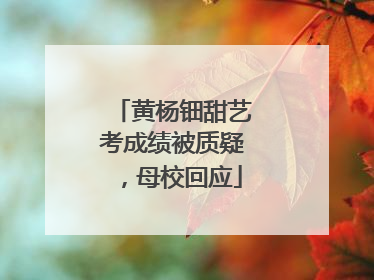 黄杨钿甜艺考成绩被质疑，母校回应
