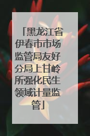 黑龙江省伊春市市场监管局友好分局上甘岭所强化民生领域计量监管