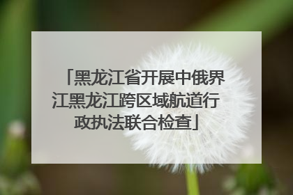 黑龙江省开展中俄界江黑龙江跨区域航道行政执法联合检查