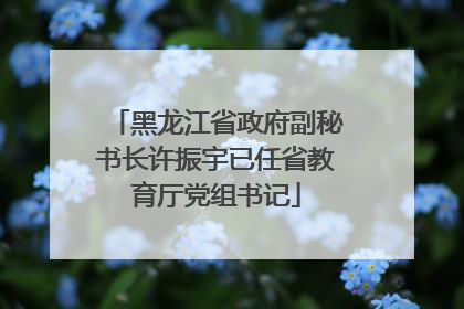 黑龙江省政府副秘书长许振宇已任省教育厅党组书记