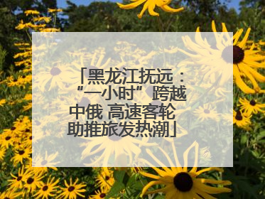 黑龙江抚远：“一小时”跨越中俄 高速客轮助推旅发热潮