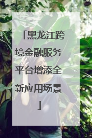 黑龙江跨境金融服务平台增添全新应用场景
