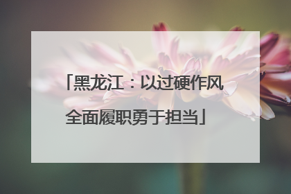 黑龙江：以过硬作风全面履职勇于担当