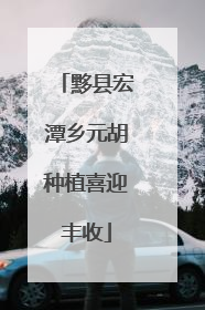 黟县宏潭乡元胡种植喜迎丰收
