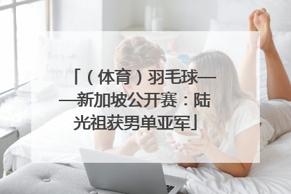 （体育）羽毛球——新加坡公开赛：陆光祖获男单亚军