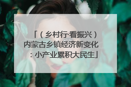 （乡村行·看振兴）内蒙古乡镇经济新变化：小产业累积大民生