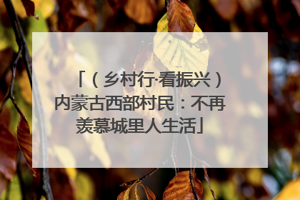（乡村行·看振兴）内蒙古西部村民：不再羡慕城里人生活