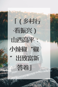 （乡村行·看振兴）山西高平：小辣椒“椒”出致富新答卷