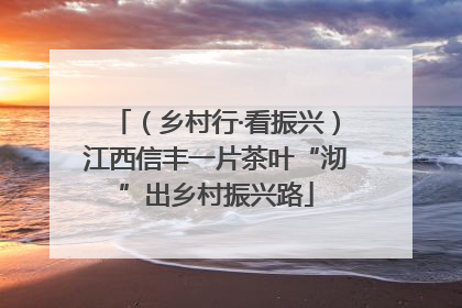（乡村行·看振兴）江西信丰一片茶叶“沏”出乡村振兴路