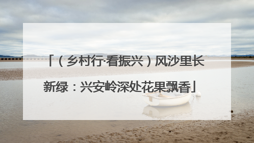 （乡村行·看振兴）风沙里长新绿：兴安岭深处花果飘香