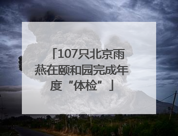 107只北京雨燕在颐和园完成年度“体检”