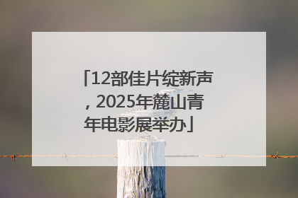 12部佳片绽新声，2025年麓山青年电影展举办