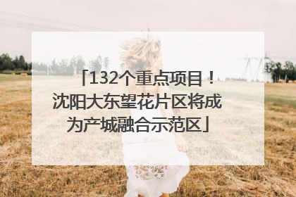 132个重点项目!沈阳大东望花片区将成为产城融合示范区